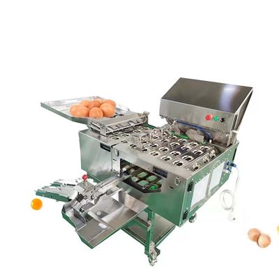 Beli Peralatan Pengolahan Telur Cair Untuk Mesin Pasteurisasi Untuk Membuat Serbuk Telur Kecil pembuatan online